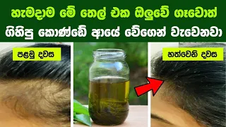 කොණ්ඩේ වැවීම වේගවත් කරගන්න හොඳම ස්වභාවික තෙල් වර්ග 5 ක් | 5 natural oils that accelerate hair growth