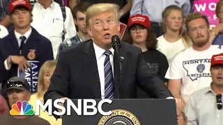 Donald Trump Blasts NYT Op-Ed & Again Relives 2016 Win To Montana Rally | The 11th Hour | MSNBC