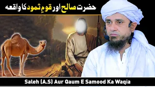 Saleh (A.S) Aur Qaum E Samood Ka Waqia | Mufti Tariq Masood