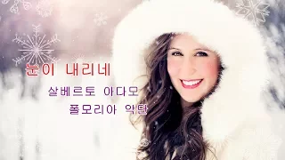 눈이 내리네 (Tombe La Neige) - 살바토레 아다모 (Salvatore Adamo ) / 폴모리아 악단 (Paul Mauriat)