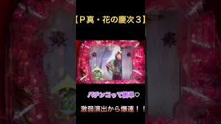 【Ｐ真・花の慶次3】激弱演出からの爆連！！パチンコなんか簡単だわ！！#ノリ打ち #花の慶次 #パチンコ #パチスロ