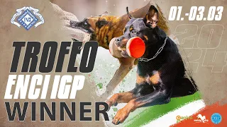 Winner // TROFEO ENCI 2024 // workingdog