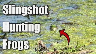 Slingshot Hunting Frogs - Cleaning and Cooking!