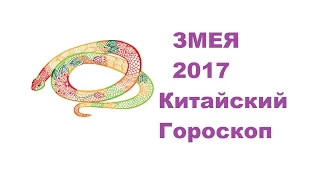 Гороскоп Змея -2017. Астротиполог, Нумеролог - Дмитрий Шимко