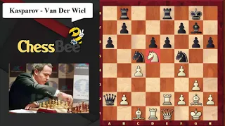 72. Kasparov Vs Van Der Wiel