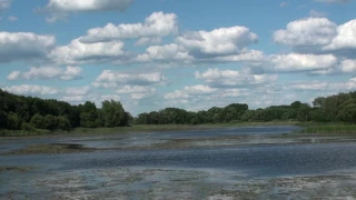 Ставок на річці Смош (село Щурівка)