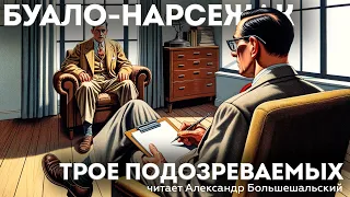 Буало-Нарсежак - ТРОЕ ПОДОЗРЕВАЕМЫХ (Детектив) | Аудиокнига (Рассказ) | Читает Большешальский