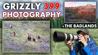 Photographing Grizzly 399 in the Tetons! + Epic Badlands Sunrise!! - WILDLIFE PHOTOGRAPHY VLOG