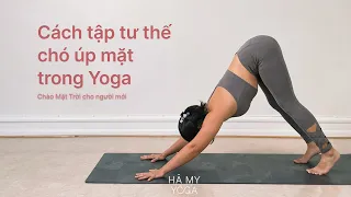 #1 Tư thế Chó Úp Mặt trong Yoga | Chào Mặt Trời cho người mới