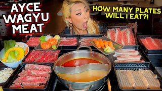 HOW MANY PLATES CAN I EAT?! UNLIMITED WAGYU MEAT at Shabu Wara in Chino, CA!! #RainaisCrazy