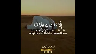 Surah At-Taubah (Beautiful Recitation) (Ayat#51)