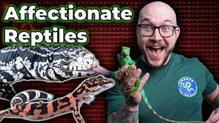Do Reptiles Really Love You? | Top 5 Most Affectionate Pet Reptiles!
