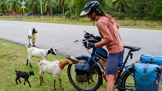 Cycling Through Malaysian Monsoons // Singapore to Kenyir Lake // World Bicycle Touring Episode 33