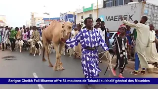 Tabaski 2018: 54 Moutons de  Serigne Cheikh Fall Mbawor pour Serigne Mountkha Bachir