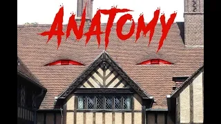 Anatomy (Full Playthrough + No Commentary)