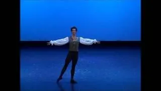 Pas de Deux - Il cigno nero