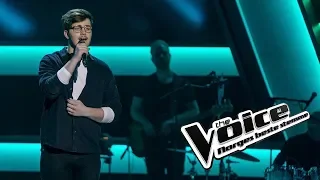 Sindre Steig – Resolution | Blind Auditions | The Voice Norge 2019