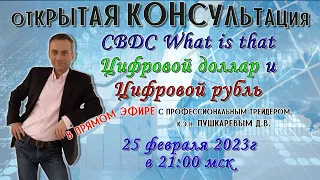 CBDC What is that | Цифровой доллар и рубль | Преимущества и недостатки цифровой валюты