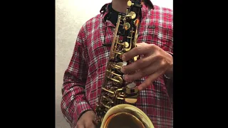 Autumn Leaves Alto Saxophone