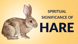 The Spiritual Significance of the Hare: Exploring Symbolism and Meaning