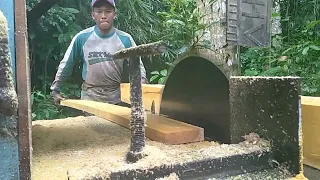 TAK TERDUGA ‼️Kayu nangka ini masih kecil sudah memiliki galih yang indah