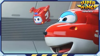 ✈ [SUPERWINGS] Superwings5 Super Pets! Full Episodes Live ✈