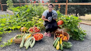 Abundantly Blessed with a MASSIVE Garden Harvest | Full August Garden Tour