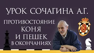 Видеоурок А.Г. Сочагина. Противостояние коня и пешек в окончаниях