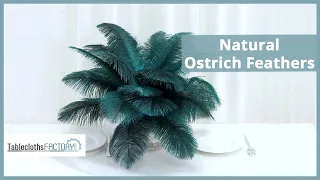 Natural Ostrich Feathers | Table Centerpiece | Tableclothsfactory.com