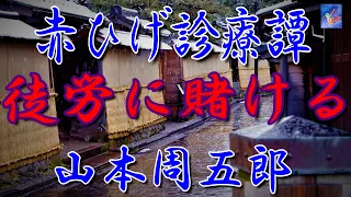 【朗読】赤ひげ診療譚５　徒労に賭ける　山本周五郎　読み手アリア