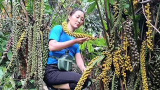 Harvest Forest Fruit Goes to the market to sell - Gardening | Loc Thi Huong