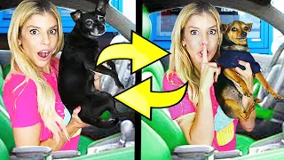 Twin Swap DRIVE THRU Challenge with our Dogs!