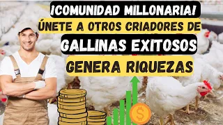 📢🤑Hazte millonario Criando gallinas Ponedoras La Guía Completa📢🤑Las Mejores Razas de Gallinas