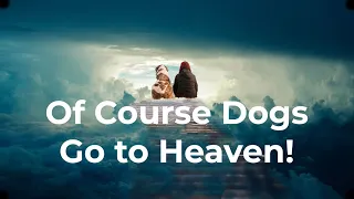 Of Course Dogs Go to Heaven - A Biblical View of Animals in Eternity