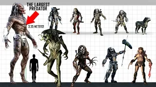 YAUTJA (Predator) Size Comparison