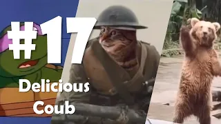 Delicious Coub Compilation # 17