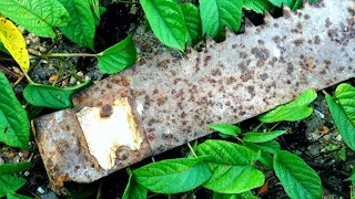 MAKING A KITCHEN KNIFE FORGED FROM RUSTY SAWBLADE FOR WORKSHOP COOKING