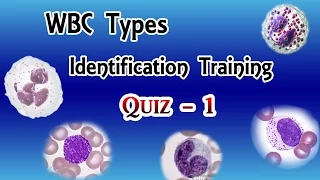 WBC Identification Training  Quiz  ( Part 1/3 )