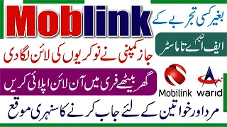 Jazz Company Jobs 2024 - Mobilink Jobs Vacancy 2024 - Jazz Careers 2024 -Jazz Jobs 2024 Online Apply