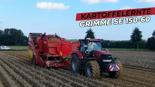 Kartoffelernte | Case IH Puma 240 CVX | GRIMME SE 150-60