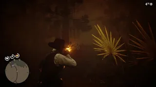 Red Dead Redemption 2 - The scariest f---ing thing in the game (The Night Folk Encounters 2)