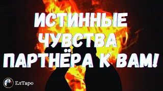 ИСТИННЫЕ ЧУВСТВА ПАРТНЁРА К ВАМ. ГАДАНИЕ. ГАДАНИЕ ОНЛАЙН. ТАРО ДЛЯ МУЖЧИН. ТАРО ДЛЯ ЖЕНЩИН