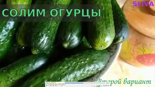 Соленые огурцы. Вариант №2  #соленые_огурцы