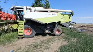 Уборка 2021 Claas lexion