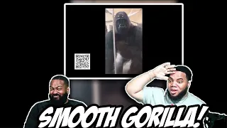 INTHECLUTCH  REACTS TO @TonyBakercomedy The Animal Whisperer (Part 75) TRY NOT TO LAUGH