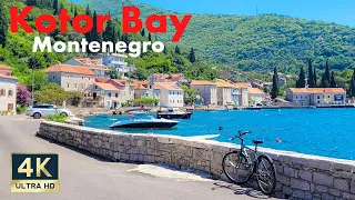 Bay of Kotor Montenegro 🇲🇪 4K Bike Tour Dobrota to Lepetani 2022