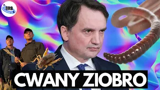 Ziobro Szykuje Się Na Porażkę?