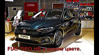 FIAT TIPO в новом цвете  на Садовой 65. АНОНС! Alfa Romeo STELVIO скоро на канале! Подпишись! Лайк!