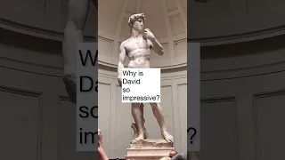 Michelangelo's Sculpture David: The Details  and Skill are Beyond Impressive