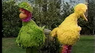 Sesame Street - Abelardo Visits